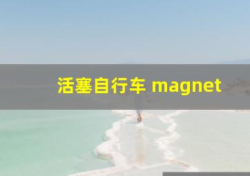 活塞自行车 magnet